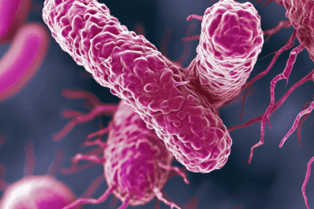 Farmaci, dall'Italia un anticorpo contro il superbatterio Klebsiella pneumoniae